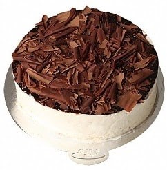 6-9 Kişilik Premium Seri Tiramisu Günlük Pasta pasta